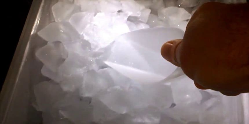Can Ice Evaporate in the Freezer