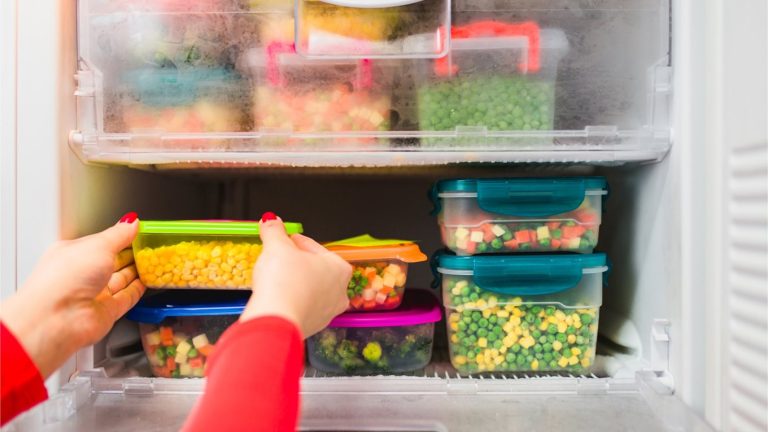 Can You Safely Store Your Freezer in an Outdoor Shed?