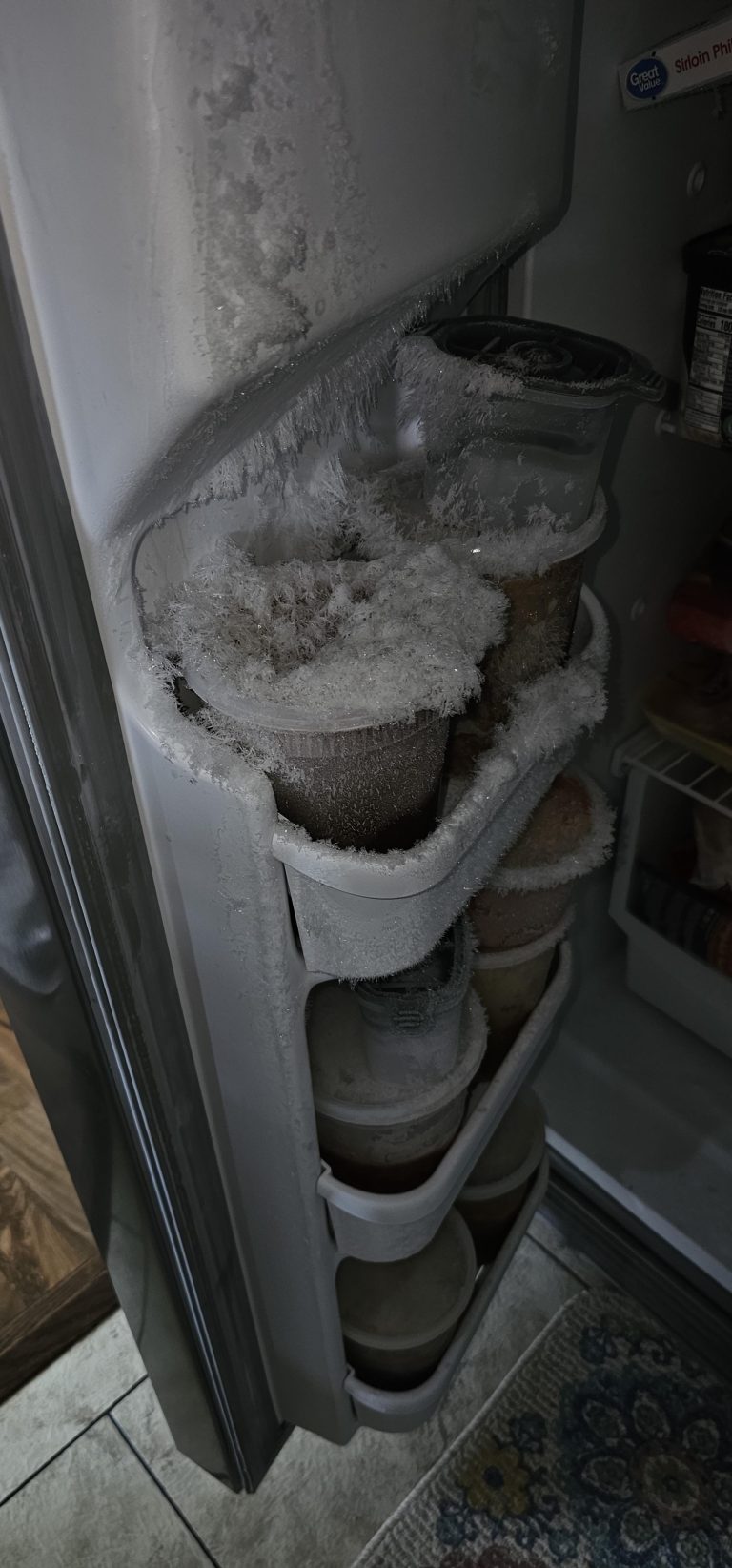 Freezer Door Left Open for 8 Hours