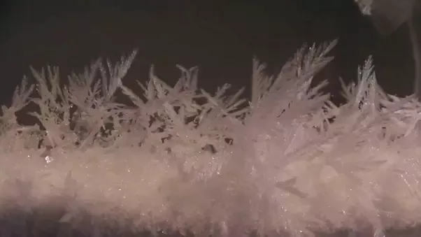 Freezer Making Ice Crystals