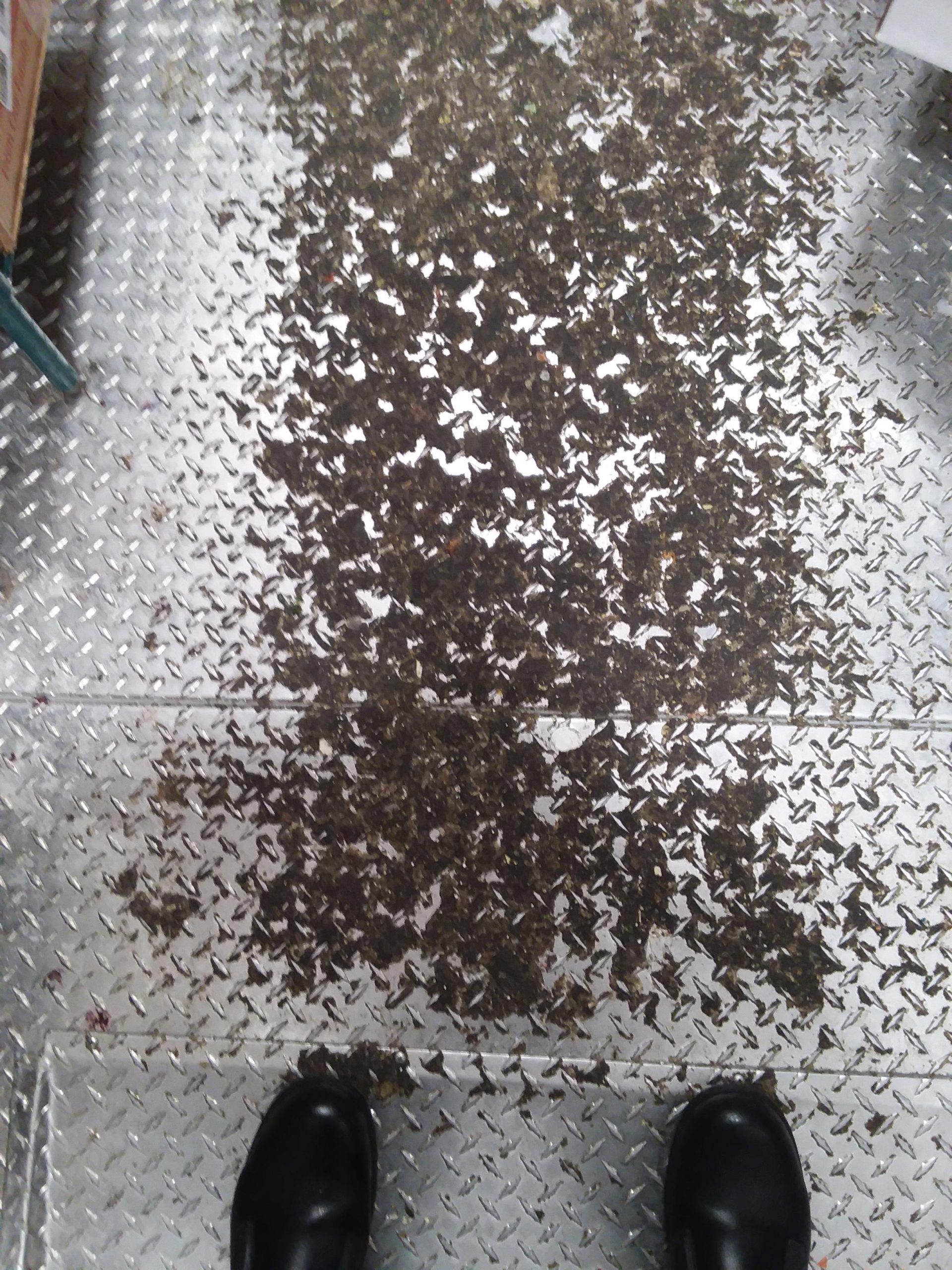 How to Clean a Walk in Freezer Floor Without Turning It off Expert