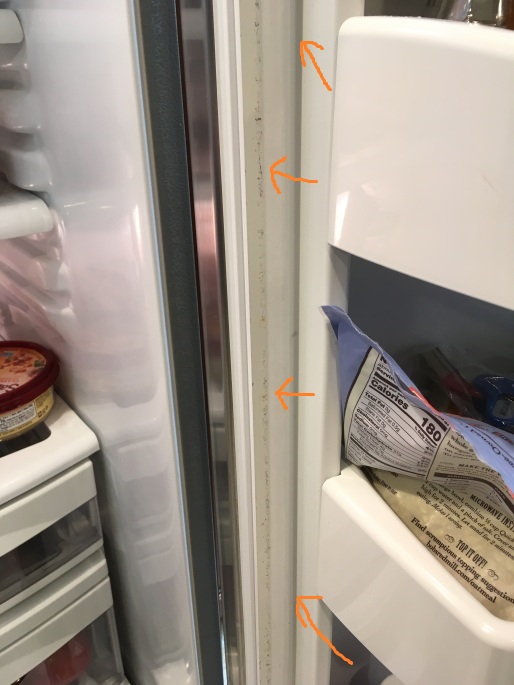 Is Black Mold in Freezer Dangerous?: Health Risks Exposed