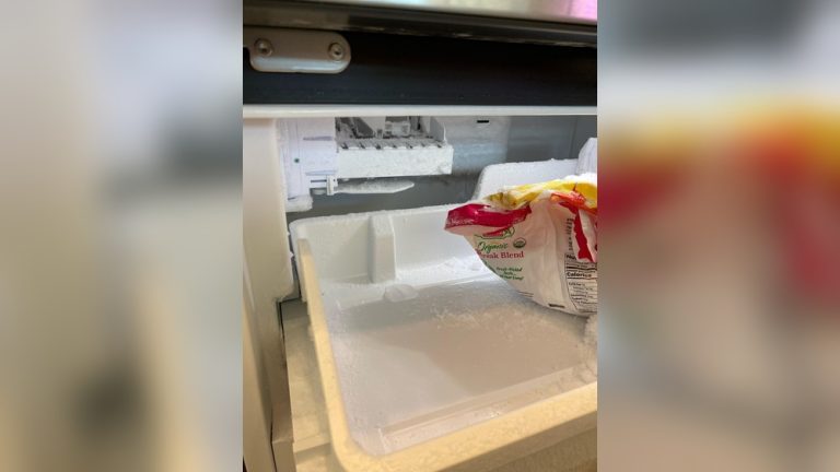 Freezer Left Open Overnight is Food Safe