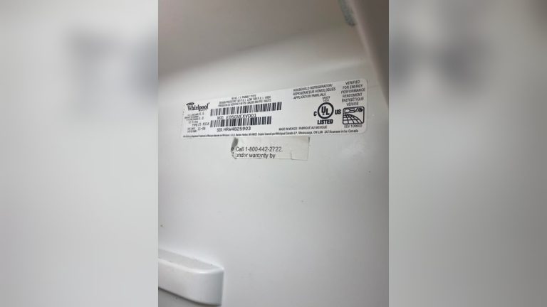 Freezer Sounds Like Sizzling: Causes, Fixes, and Tips