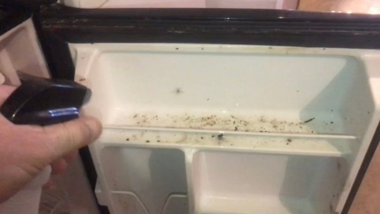 How to Clean Mold from Freezer